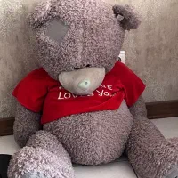 خرس تدی