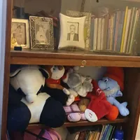 کتابخانه وبوفه وکمد لباس|بوفه، ویترین، کنسول|تهران, سبلان|دیوار