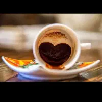 فال و سرکتاب