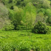 زمین-5000-متری-در-قلب-هیرکانی
