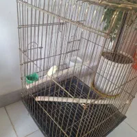 قفس پرنده بزرگ