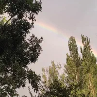 گروه موزیک سناتور