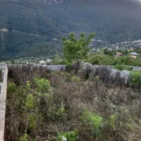 فروش زمین مسکونی در ییلاق با ویو ابدی|فروش زمین و ملک کلنگی|آلاشت, |دیوار