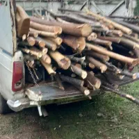 قطع خرید چوب باغی