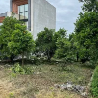 زمین لو‌کیشن فوق برند/شهرکی/با مجوز/سند۶دانگ