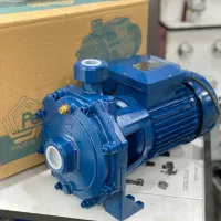 پمپ پنتاکس ۲ اسب دو پروانه ۶ ماه ضمانت سیم پیچ مس