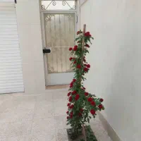 خانه ویلایی معاوضه استان گیلان|فروش خانه و ویلا|رشت, بازار|دیوار