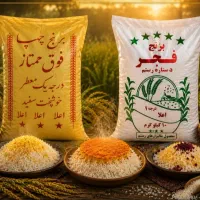 برنج چمپا فجر عنبر بو کامفیروزی نیم دانه