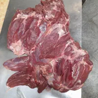 گوشت گرم ممتاز|خوردنی و آشامیدنی|زنجان, |دیوار