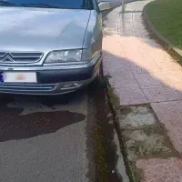 زانتیا بسیار سالم