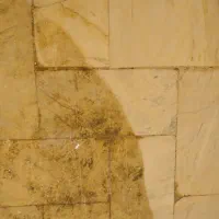 کفسابی سیار|خدمات نظافت|ایلام, |دیوار