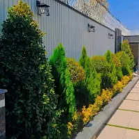 خدمات کلیه باغبانی باغچه کاری گلکاری کاشت گل وگیا