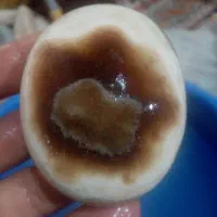 سنگ باستانی خاص