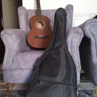 گیتار پارسی m2