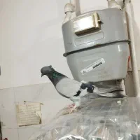 سبز کاکولی پلاکی کاکولی