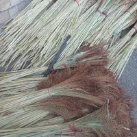 مقداری جارو به صورت دسته تمیز شده|لوازم نظافت|نهاوند, |دیوار