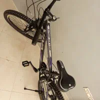 دوچرخه ویوا|دوچرخه، اسکیت، اسکوتر|محمدشهر, همایون ویلا|دیوار