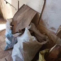 ضایعات چوب گردو برای آتیش و کبابی|حراج|سبزوار, امیر کبیر|دیوار