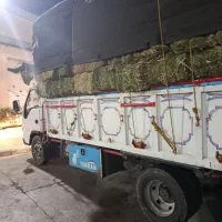 کاه درجه یک نرم ودرشت ارسال از کردستان|عمدهفروشی|آمل, |دیوار