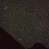 نوت 11معمولی