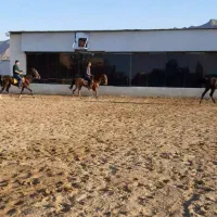 اجاره کافه رستوران