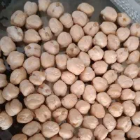 نخود و لوبیا چیتی و عدس