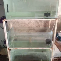 آکواریوم و تجهیزات کامل سالن پرورش ماهی زینتی