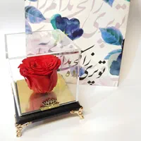 گل رز جاویدان درانواع رنگ ها ودیزاین دلخواه جاودان|گل و گیاه طبیعی|تهران, میدان ولیعصر|دیوار