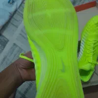 کفش سالن|کیف، کفش، کمربند|نیشابور, بنیاد شهید|دیوار