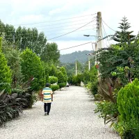 کد194-فروش-زمین-سند-دار-انشعابات-سر-ملک