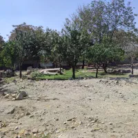 باغچه ۵۰۰ متری زیبادشت زیر قیمت|فروش زمین و ملک کلنگی|محمدشهر, زیبادشت|دیوار