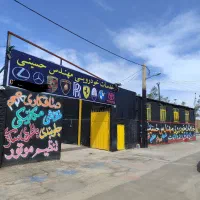 خدمات انواع خودروها (ظاهرسازی خودرو 30٪ تخفیف)