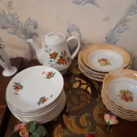 گل سرخی  های زیبا