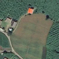 زمین-در-تالش