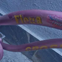 دوچرخه دخترانه کراس