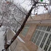 باغ ویلا