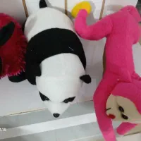 عروسکهای زیبا تعداد بالا|اسباببازی|میاندوآب, |دیوار