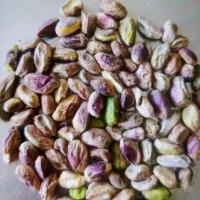 خ وف مغز پسته