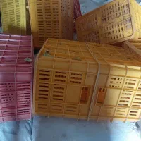 سبد انگور کار کرده