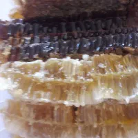 عسل طبیعی|خوردنی و آشامیدنی|گوگان, |دیوار