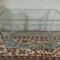 آکواریوم|ماهی|قزوین, |دیوار