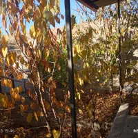 یک باب خانه ویلایی ویو ابدی در احمد اباد|فروش خانه و ویلا|مشگین شهر, |دیوار