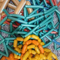 پروتئین خانگی