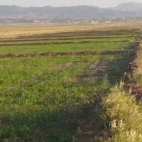 مقدار ۱۲ساعت آب چاه موتور ملکی  ب همراه زمین|فروش زمین و ملک کلنگی|جلگه رخ, |دیوار