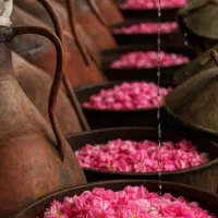 عمده گلاب و شیره انگور کاشان