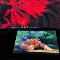 Redmi pad se/8/256|تبلت|مشهد, آزادشهر|دیوار