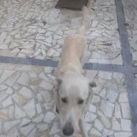 پیدا شده در محدوده ی پارک ملت