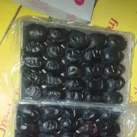 خرما مضافتی بم از تولید به مصرف ارسال به تمام نقاط