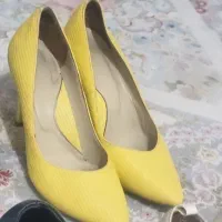 کفش|کیف، کفش، کمربند|قزوین, |دیوار