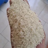 طارم فجر ایرانی